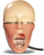 Charlie Manikin