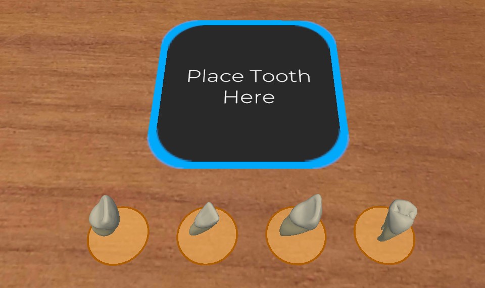 Teo dental anatomy quiz: choosing which tooth to place on the target