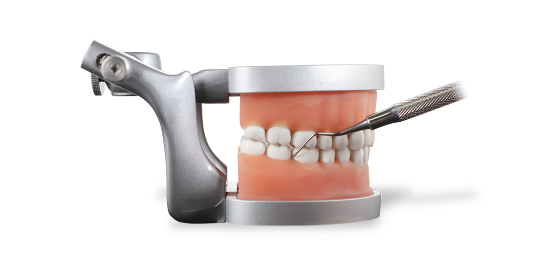 Hygiene for ADEX practice and preparation.