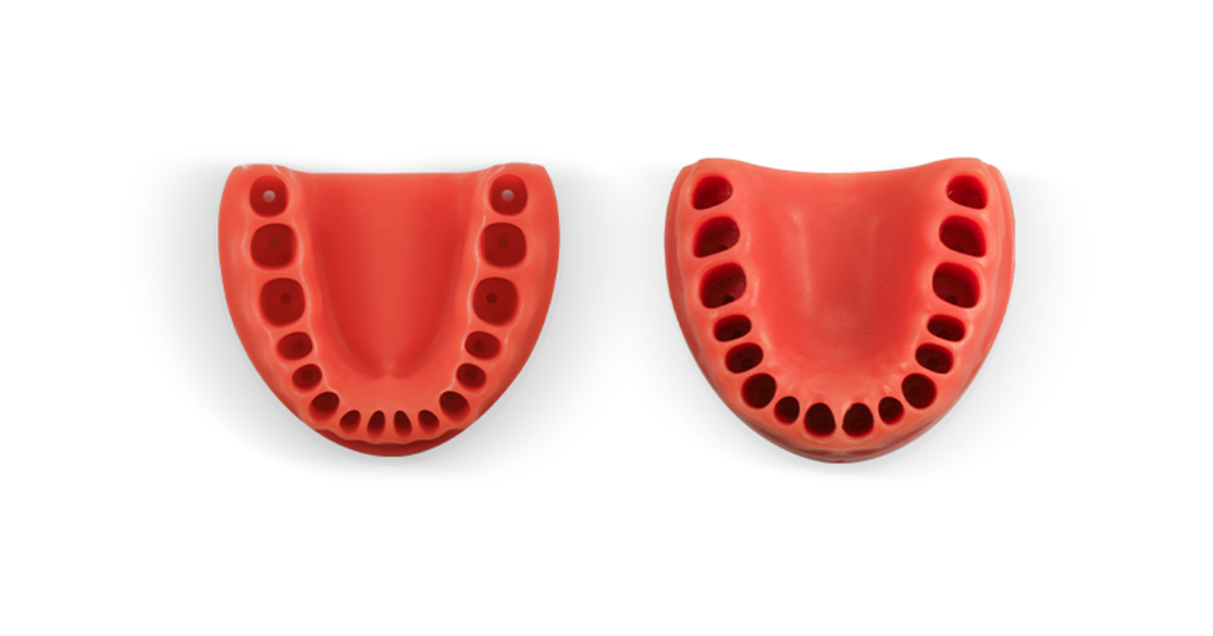 ModuPRO One Upper and Lower Gums without teeth